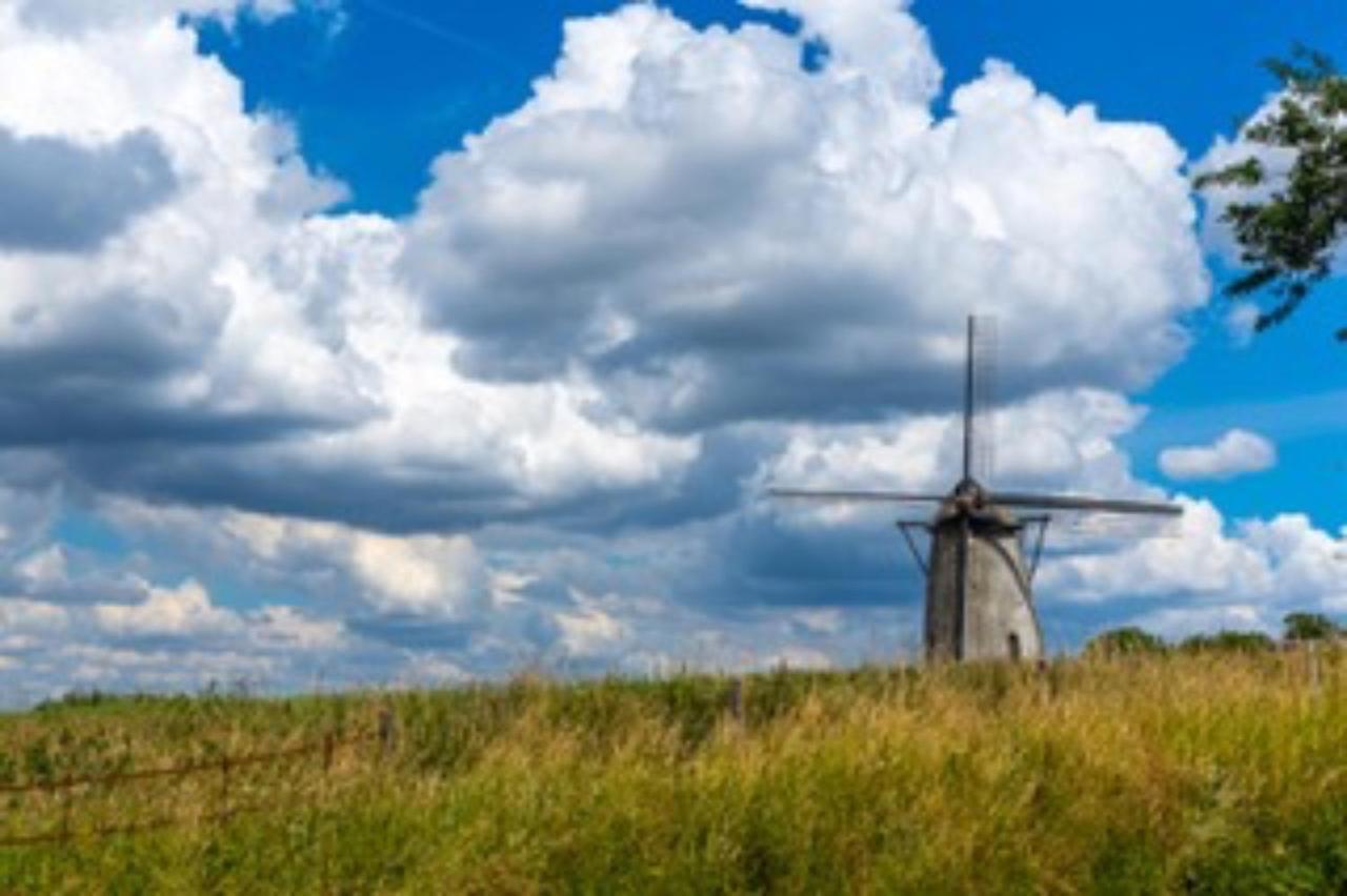 Vlaamse Ardennen Vakantiehuis Casa Caliente Met Wellness Avelgem Εξωτερικό φωτογραφία